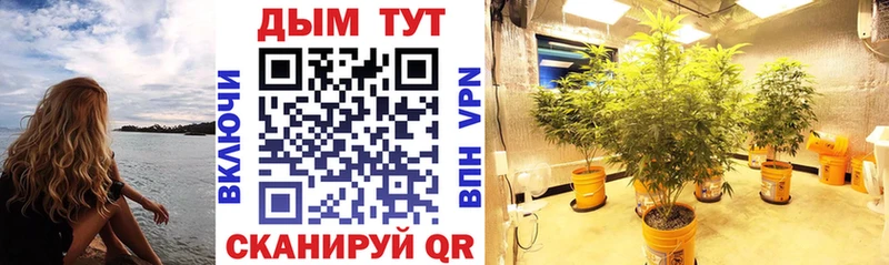 Купить наркотики Геленджик МАРИХУАНА  A-PVP  Меф мяу мяу  Cocaine 