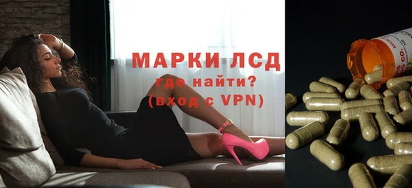 стафф Алексин