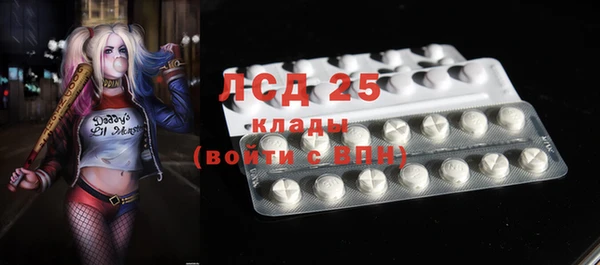 стафф Алексин
