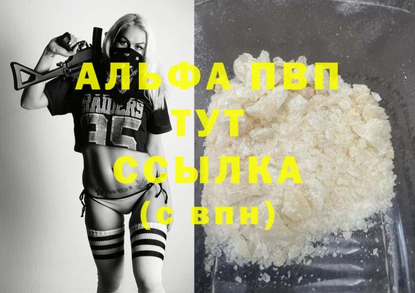 стафф Алексин