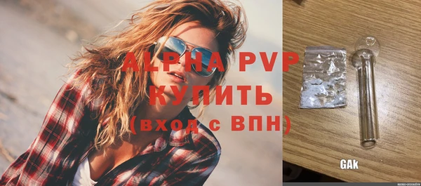 стафф Алексин