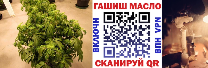 Дистиллят ТГК концентрат что такое наркотик MEGA Геленджик