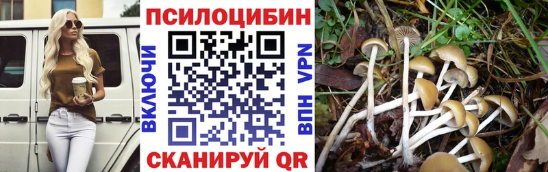 Галлюциногенные грибы Magic Shrooms  Геленджик 