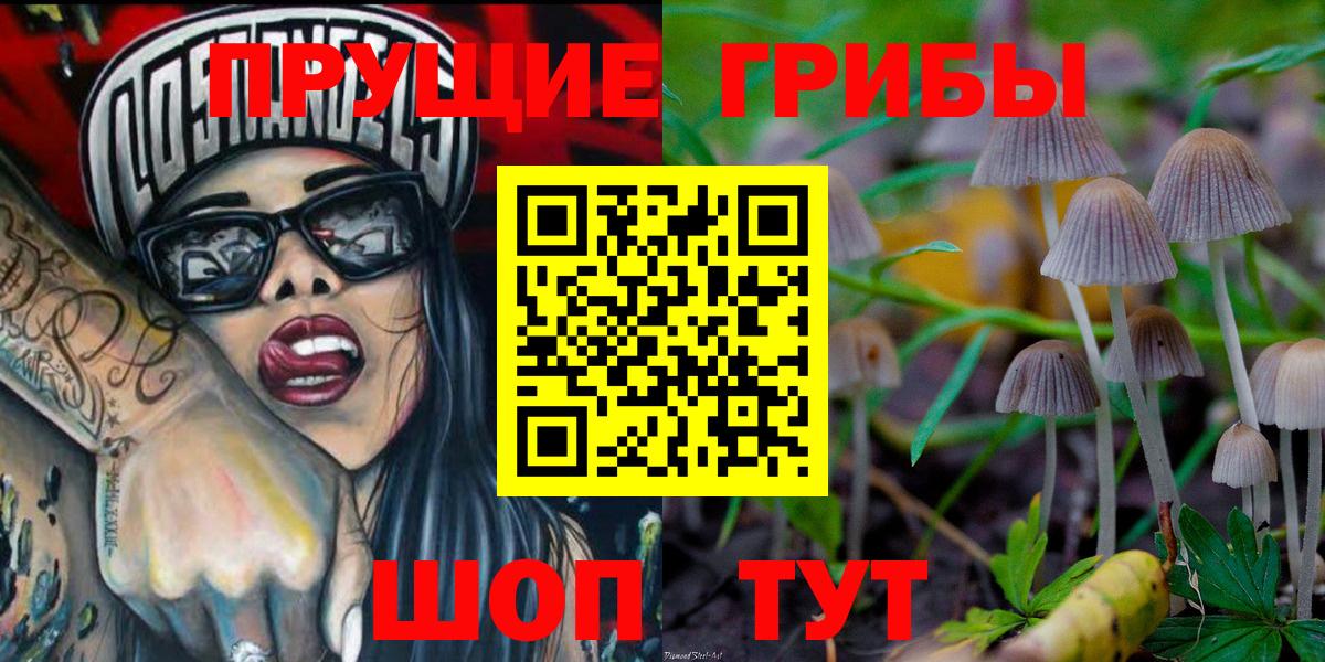 Галлюциногенные грибы Psilocybine cubensis Геленджик